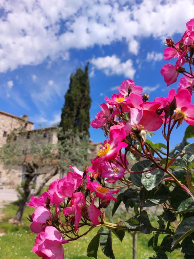 San Sano Gaiole in Chianti